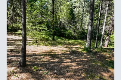 13136 Woodstock Drive, Nevada City, CA 95959 - Photo 6