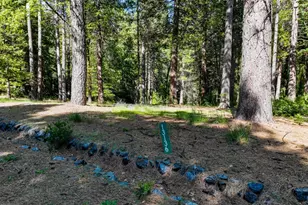 13136 Woodstock Dr, Nevada City, CA 95959 - Photo 1