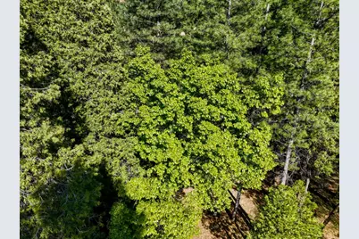 13136 Woodstock Drive, Nevada City, CA 95959 - Photo 24