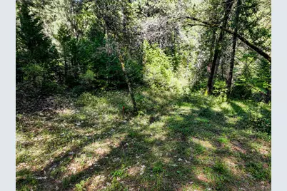 13136 Woodstock Drive, Nevada City, CA 95959 - Photo 12