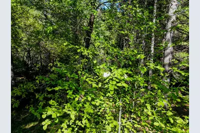 13136 Woodstock Drive, Nevada City, CA 95959 - Photo 28