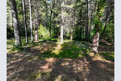 13136 Woodstock Drive, Nevada City, CA 95959 - Photo 8