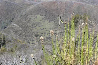 0 Fricot City Road, San Andreas, CA 95249 - Photo 4