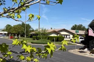 Rimma Way, Roseville, CA 95661 - Photo 38