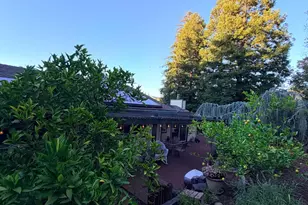 3789 Northridge Dr, Concord, CA 94518 - Photo 34