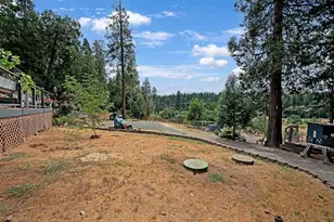 26255 State Hwy 88, Pioneer, CA 95666 - Photo 48