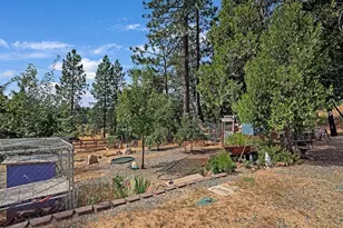 26255 State Hwy 88, Pioneer, CA 95666 - Photo 44