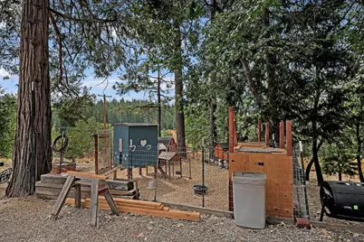 26255 State Highway 88, Pioneer, CA 95666 - Photo 46
