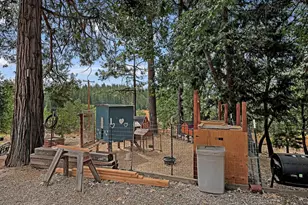 26255 State Hwy 88, Pioneer, CA 95666 - Photo 46