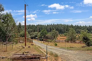 26255 State Hwy 88, Pioneer, CA 95666 - Photo 44