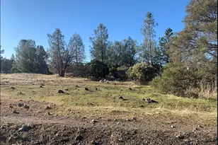 11360 Rough and Ready Hwy, Grass Valley, CA 95945 - Photo 1