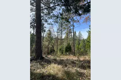 47 Bear Creek Rd, Garden Valley, CA 95633 - Photo 20