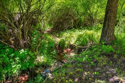 2415 Murphys Drive, Arnold, CA 95223 - Photo 36