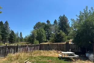 4550 Moran Rd, Avery, CA 95224 - Photo 8