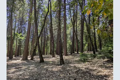 14365 N Bloomfield Road, Nevada City, CA 95959 - Photo 24