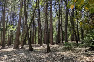14365 N Bloomfield Rd, Nevada City, CA 95959 - Photo 24