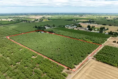 22342 Henry Road, Escalon, CA 95320 - Photo 6