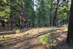 3850 Apache Rd, Dorrington, CA 95223 - Photo 1
