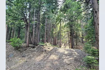 3850 Apache Road, Dorrington, CA 95223 - Photo 4