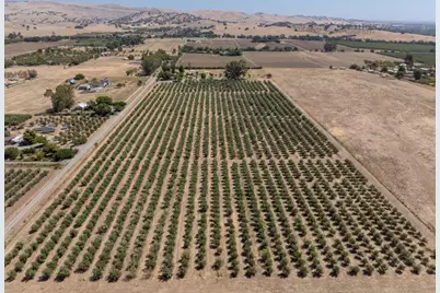 20115 County Road 79A, Capay, CA 95607 - Photo 4
