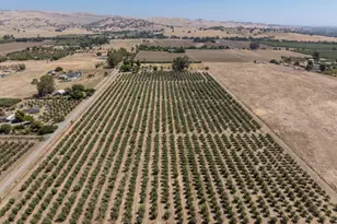 20115 Co Rd 79A, Capay, CA 95607 - Photo 4