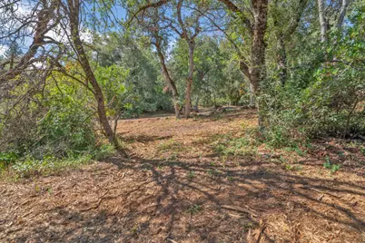 0 Leaning Tree Road, Placerville, CA 95667 - Photo 10
