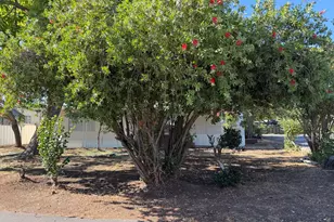Main Ave, Orangevale, CA 95662 - Photo 28