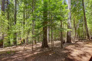 13792 Rockway Pl, Nevada City, CA 95959 - Photo 64