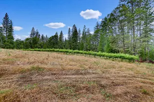 18625 Rock Creek Rd, Nevada City, CA 95959 - Photo 92