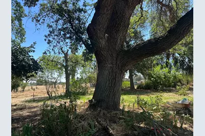 5721 E Riverdale Avenue, Laton, CA 93242 - Photo 2