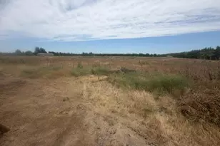 6600 E Lathrop Rd, Manteca, CA 95336 - Photo 24