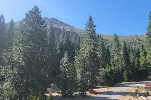 521 Brady Dr, Sierra City, CA 96125 - Photo 14