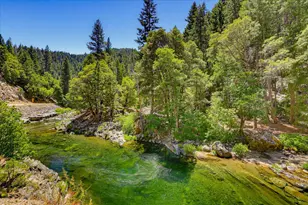 521 Brady Dr, Sierra City, CA 96125 - Photo 74