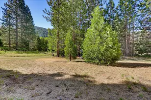 521 Brady Dr, Sierra City, CA 96125 - Photo 50