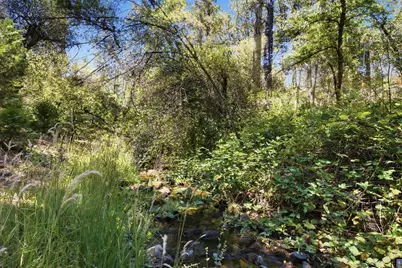 13234 Squirrel Creek Road, Grass Valley, CA 95945 - Photo 68
