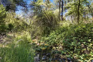 13234 Squirrel Creek Rd, Grass Valley, CA 95945 - Photo 68