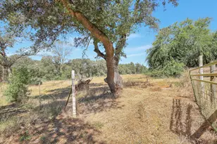 7115 Therese Trail, Browns Valley, CA 95918 - Photo 50