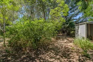 419 Rex Ave, Jackson, CA 95642 - Photo 78