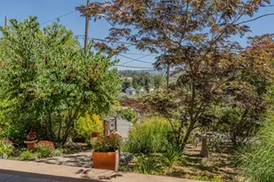 419 Rex Ave, Jackson, CA 95642 - Photo 60