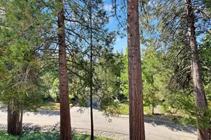 321 Bridge Way, Nevada City, CA 95959 - Photo 26