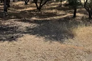 11839 Warbler Way, Penn Valley, CA 95946 - Photo 1
