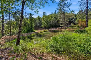 19114 Halcon Crest Ct, Grass Valley, CA 95949 - Photo 88