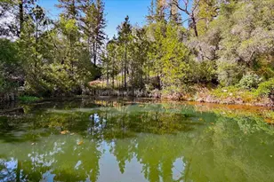 19114 Halcon Crest Ct, Grass Valley, CA 95949 - Photo 64