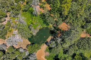 19114 Halcon Crest Ct, Grass Valley, CA 95949 - Photo 68