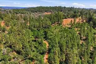 19114 Halcon Crest Ct, Grass Valley, CA 95949 - Photo 92