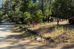 817 Timber Hills Rd, Colfax, CA 95713 - Photo 4