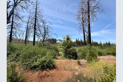 4621 Sciaroni Road, Grizzly Flats, CA 95636 - Photo 12