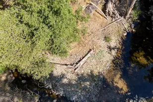 0 Whitaker Forest Rd, Miramonte, CA 93641 - Photo 60