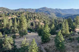 0 Whitaker Forest Rd, Miramonte, CA 93641 - Photo 26