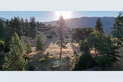 0 Whitaker Forest Road, Miramonte, CA 93641 - Photo 12